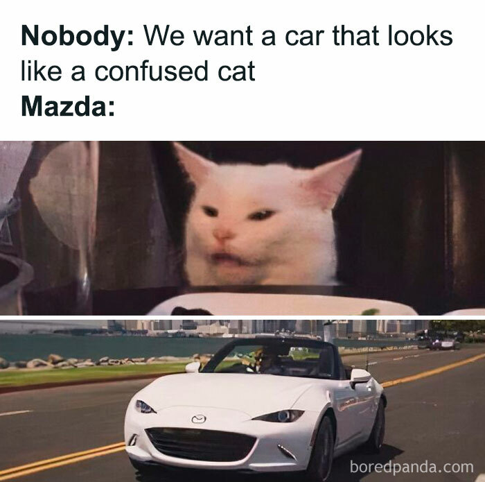 Confused cat meme comparing car design humor for drivers to enjoy.
