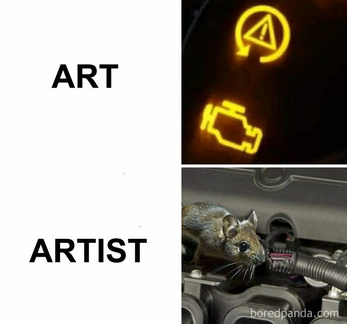 Funny-Cars-Memes-Pics