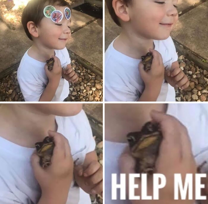 My Son Has To Pick Up Every Frog He Finds