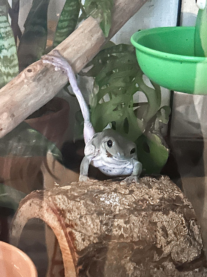 Hit Them With The Old Razzle Dazzle