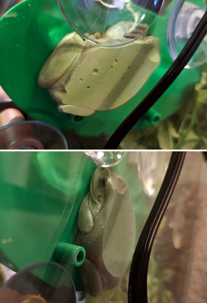 I Was Wondering Where He Went. Apparently This Is His New Favorite Spot To Sleep. I Don't Even Know How He Gets In And Out Every Time