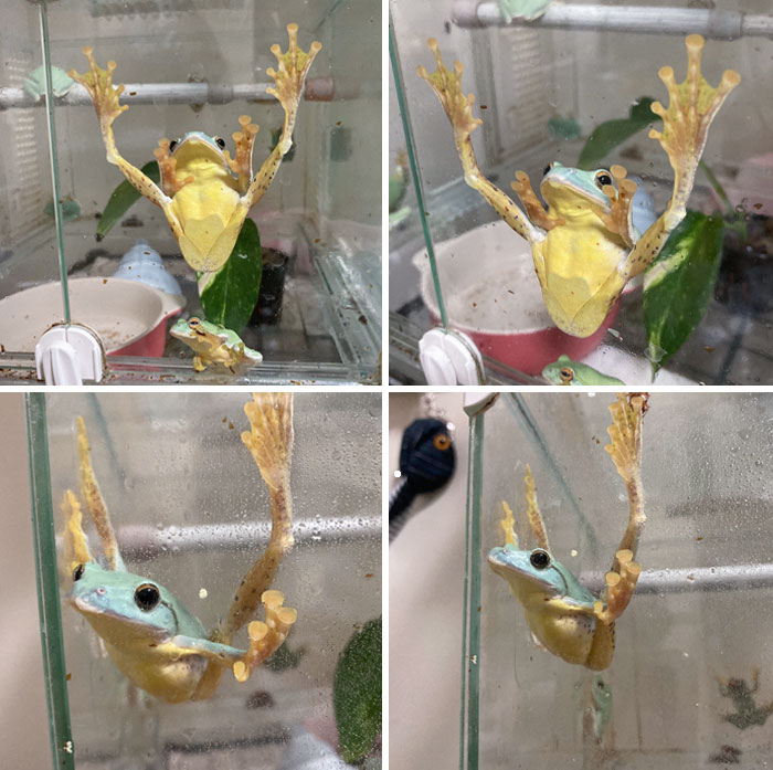 What On Earth Is This Kid Doing?