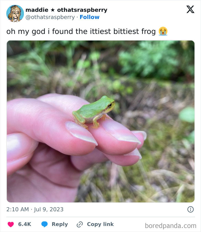 They’re Really Lovely Creatures