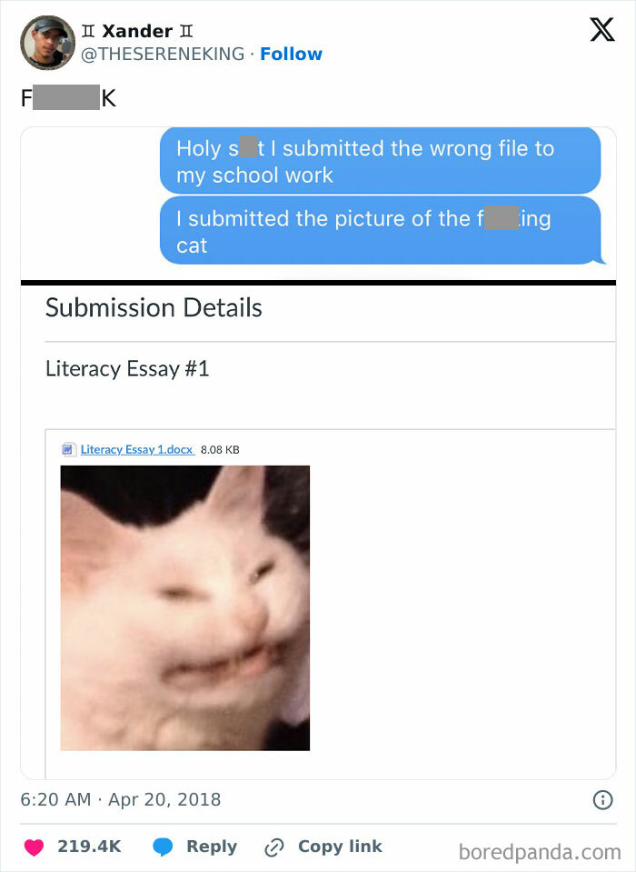 A Cat Is Better Than Essays Anyway