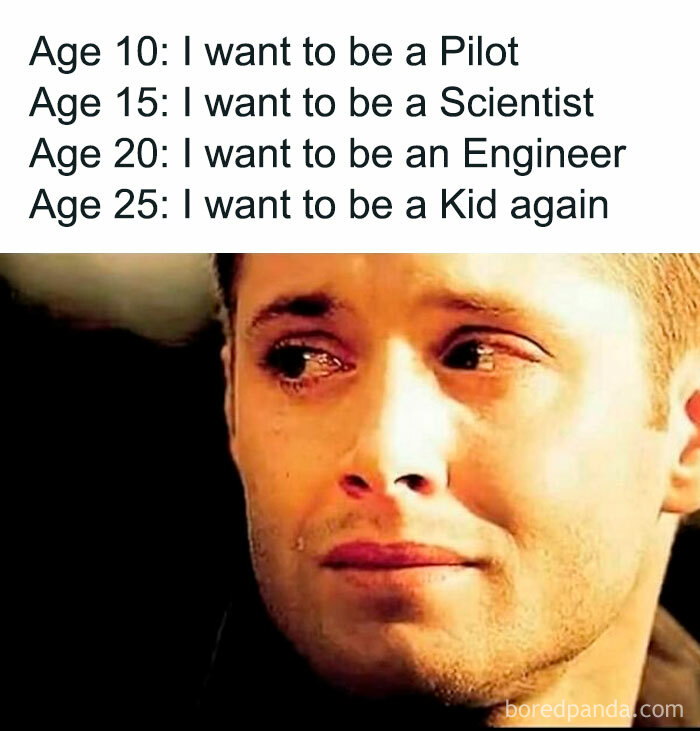 Engineer meme showing life goals at different ages with a crying face expression.