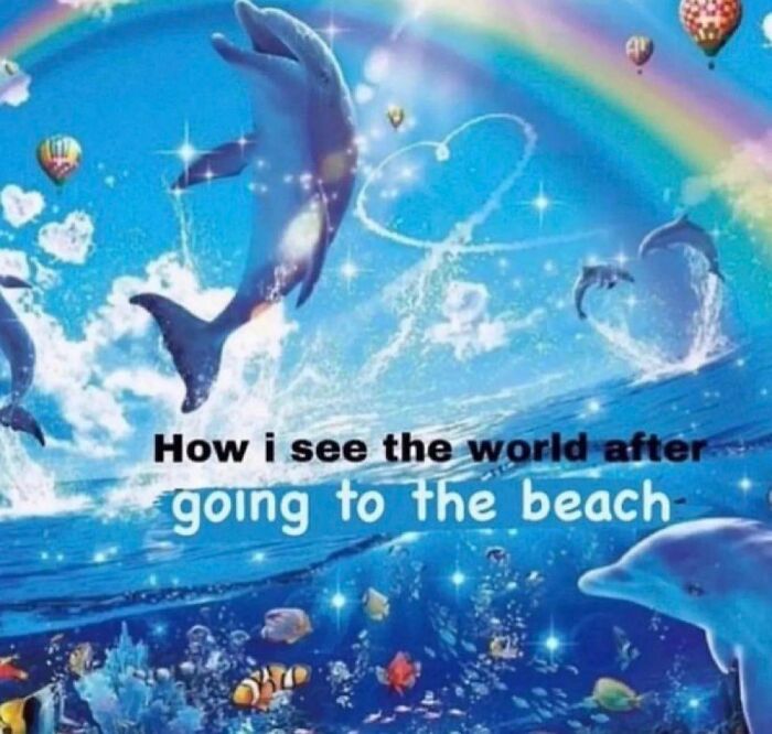 Dolphins jumping through a colorful ocean scene, with text "How I see the world after going to the beach."