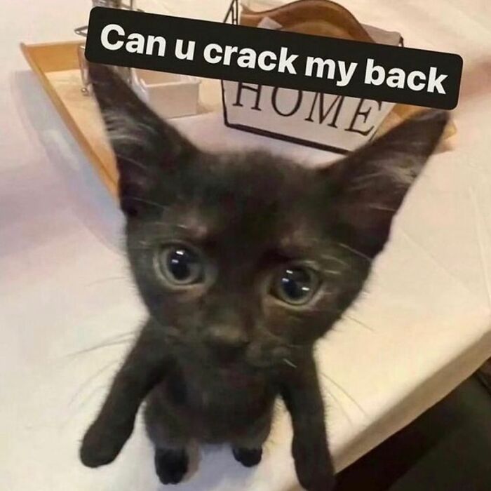 A cute black kitten with big eyes, humorously captioned "Can u crack my back," conveying life's ups and downs.