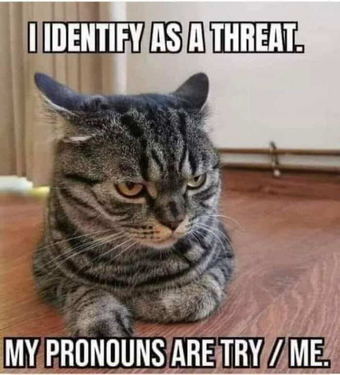 Funny-Memes-International-Laughing-Hour