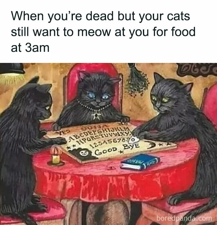 Meow You Rest In Peace