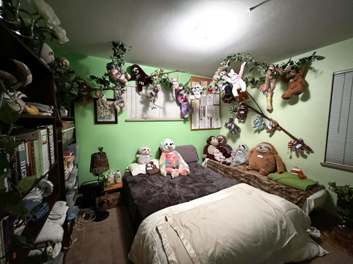 My Parents Surprised Me For My Birthday By Turning My Childhood Bedroom Into A Sloth Sanctuary