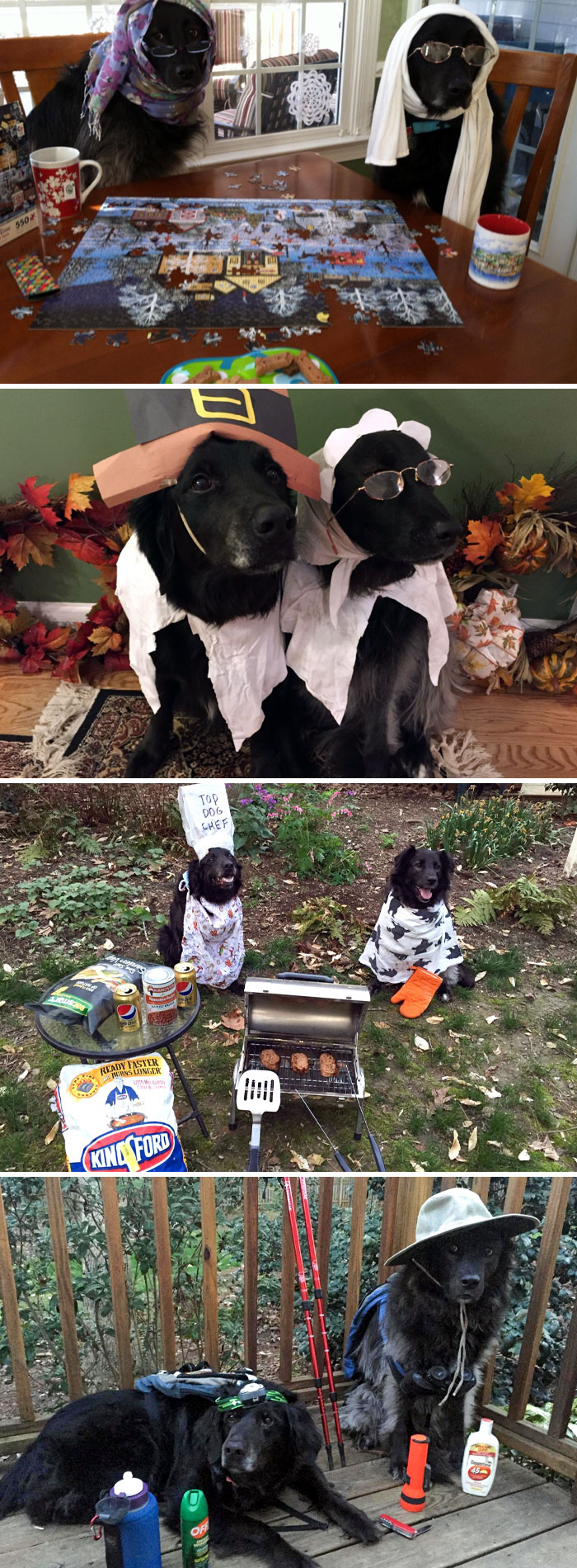 My Parents Are Recent Empty Nesters. I Get These Pictures Every Wednesday