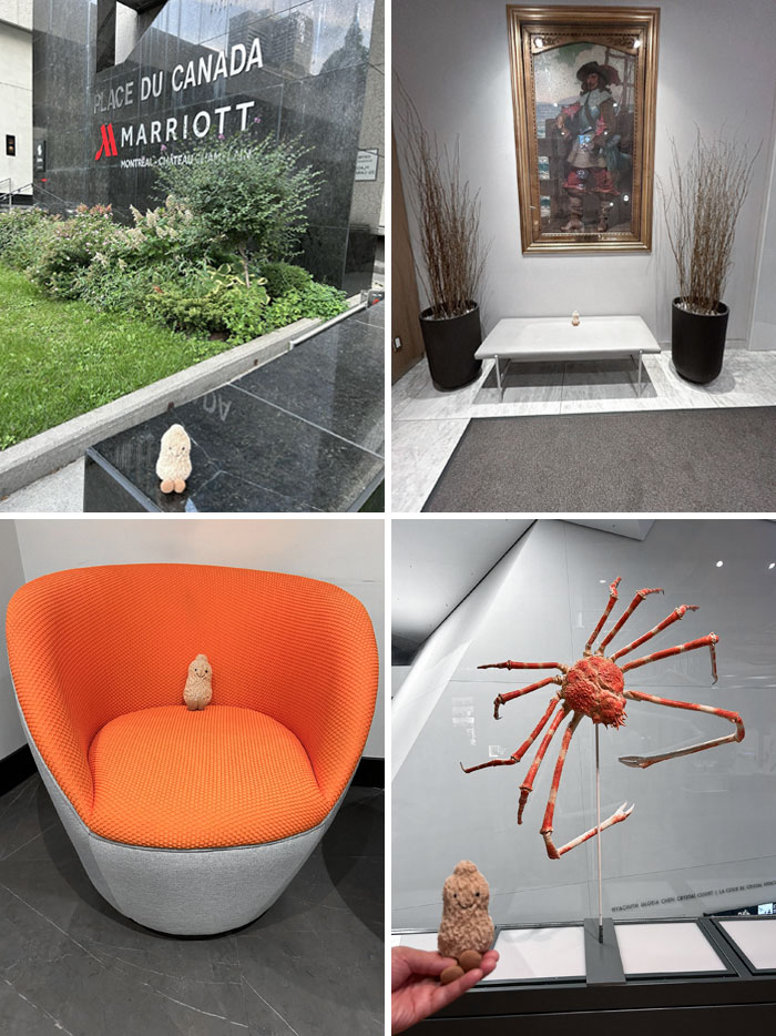 I Got My Parents A Jellycat Peanut And Told Them To Take Pictures Of It On Their Vacation