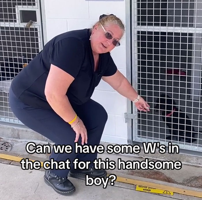 Western Australian Animal Shelter Gets Gen Z Person To Write Their Marketing, The Result Slays Western Australian Animal Shelter Gets Gen Z Person To Write Their Marketing, The Result Slays