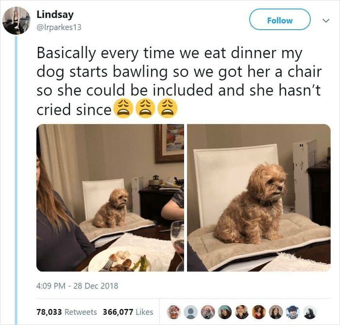 Heartwarming-Stories