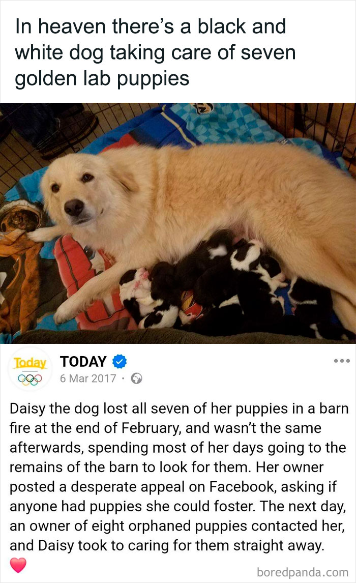 Heartwarming-Stories