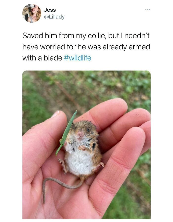 Heartwarming-Stories