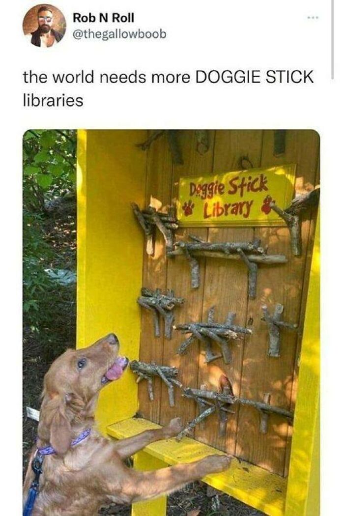 Heartwarming-Stories