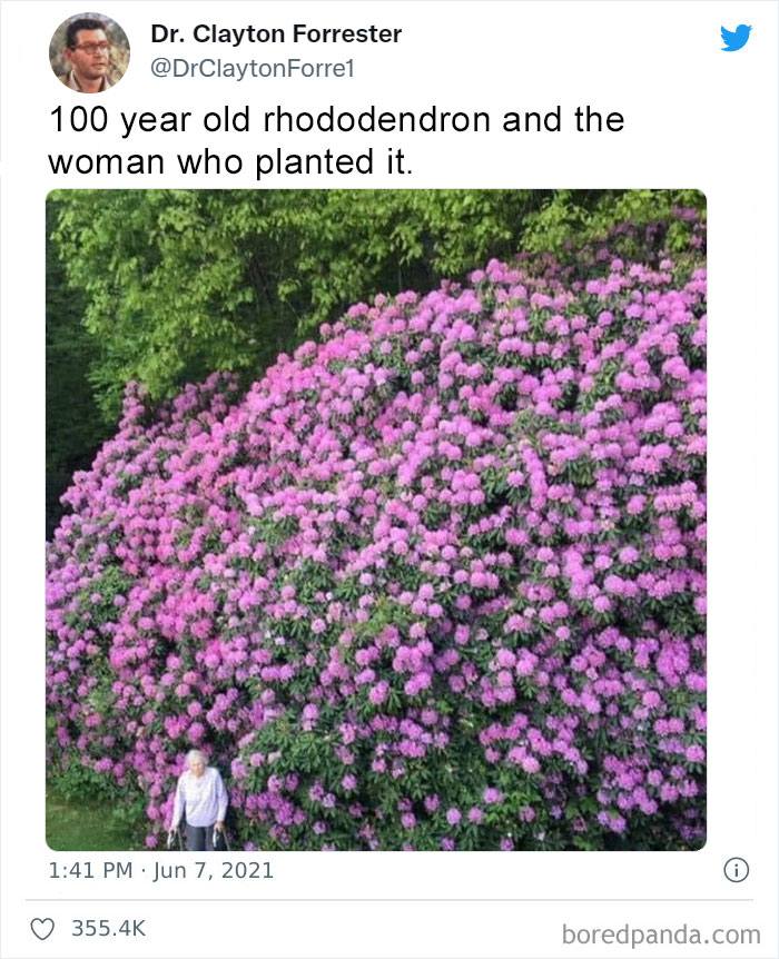 Heartwarming-Stories