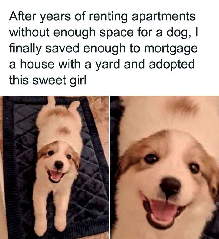 Heartwarming-Stories