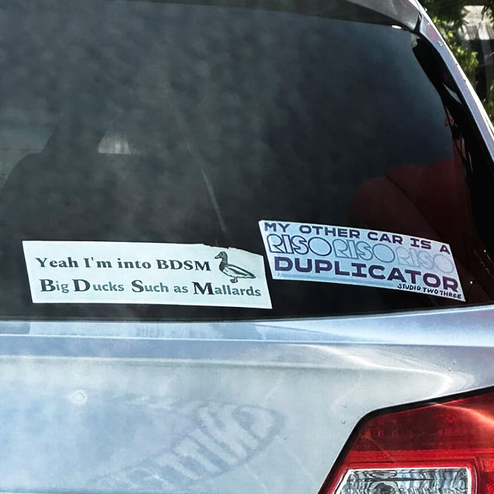 Mallards And Other Things, Please Inquire