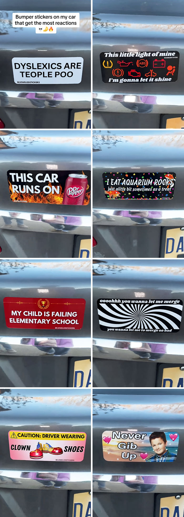 Which One Is Your Favorite?