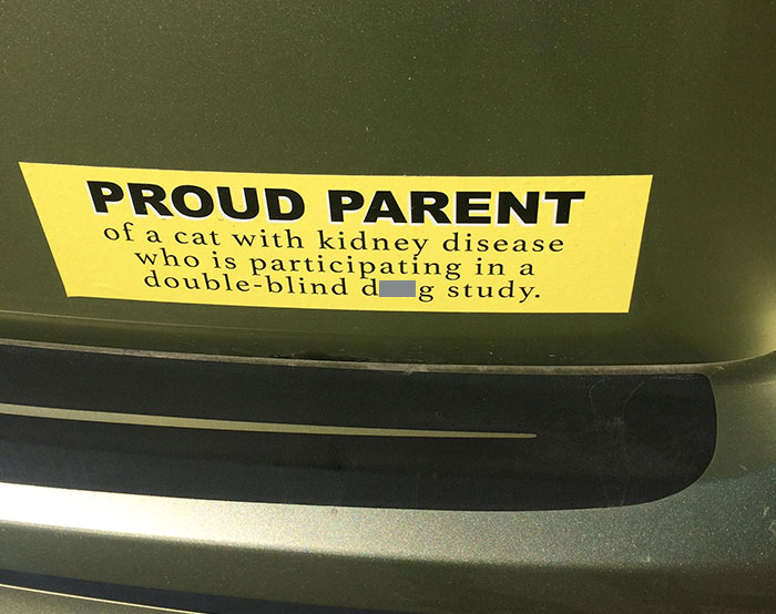 This Bumper Sticker I Passed Walking In My Neighborhood