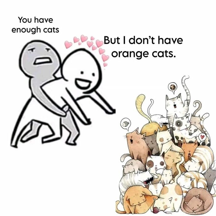 Hilarious-Cats-Memes