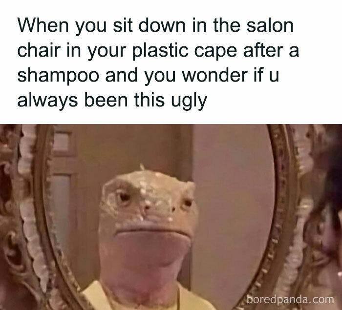 Hilarious-Funny-Random-Memes-Life-Pics