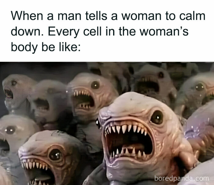 Hilarious-Funny-Random-Memes-Life-Pics