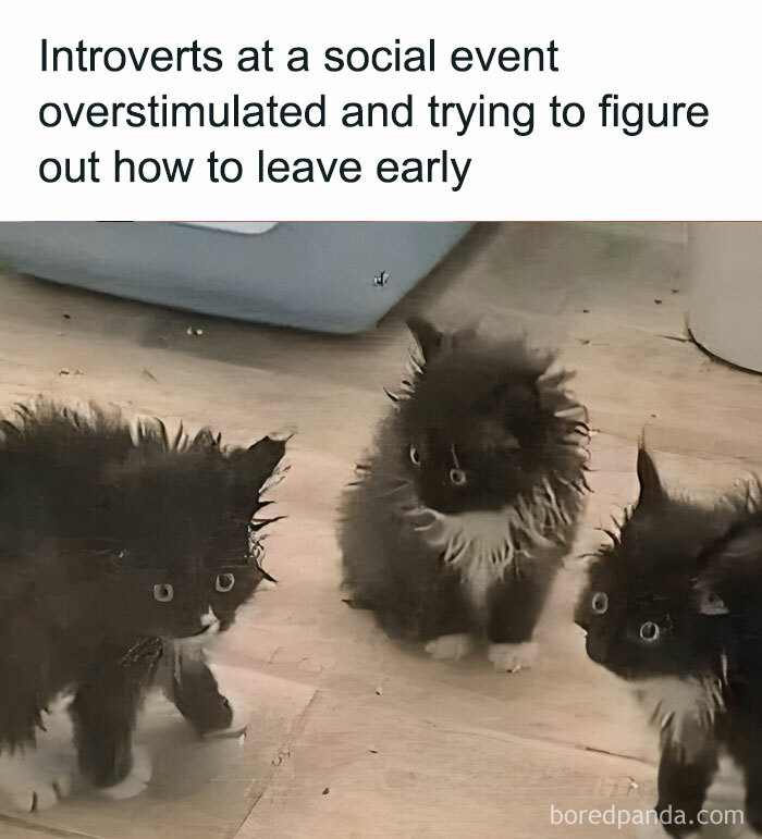 Hilarious-Funny-Random-Memes-Life-Pics