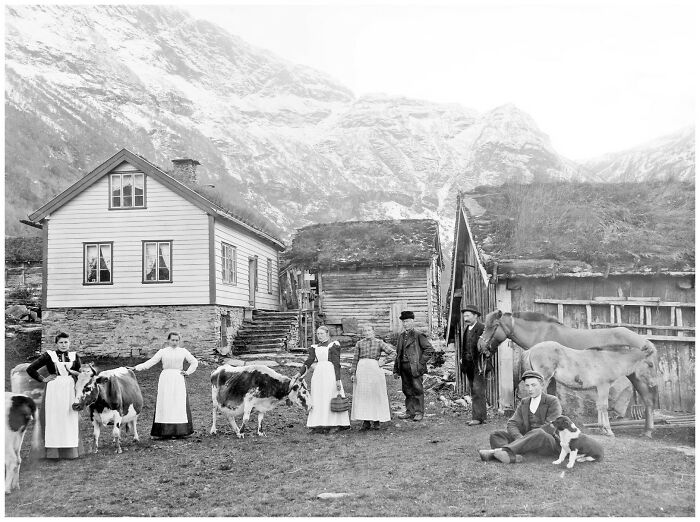 Vintage historical photo of farm life with people, cows, horses, and traditional houses in a mountainous rural setting.