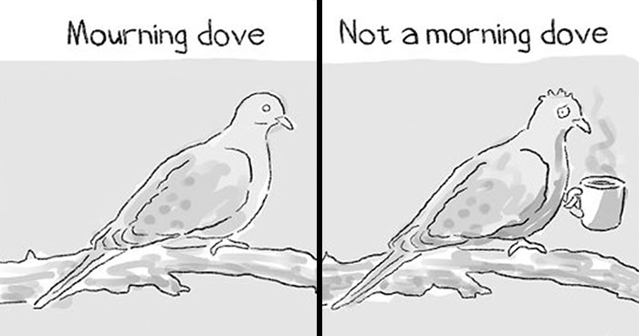 Artist Reveals Absurdities Of The Modern World Through Humorous Comics (28 New Pics)