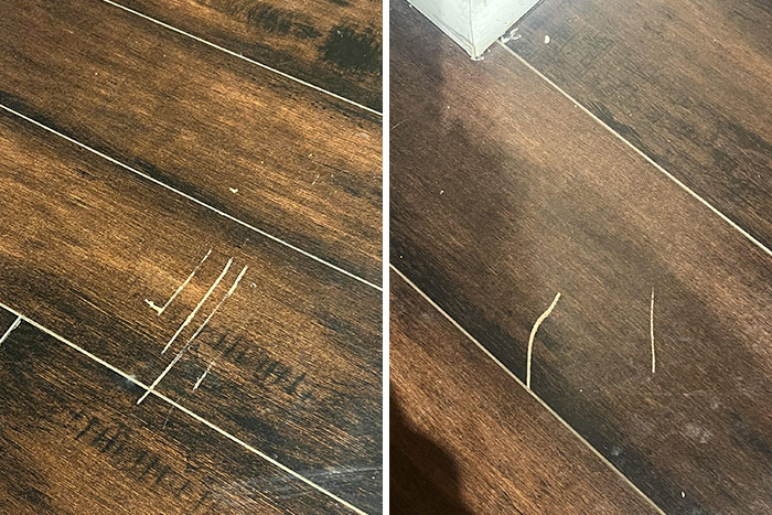 Landlord Is Charging Me $8000 To Replace Floors