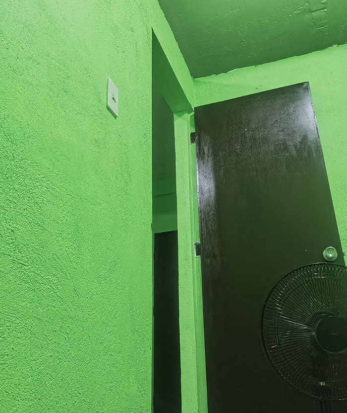 Is There A Specific Explanation Why They Chose This Kind Of Color, Can Someone Explain Why? We Got This House For 4K Only And It Has 1 Bedroom