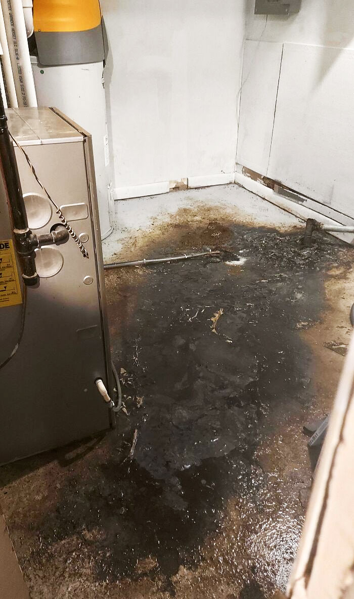 So My Landlord Refuses To Fix This Recurring Sewage Leak In The Basement, Which Is Right Beside The Furnace. What Can I Do Legally?