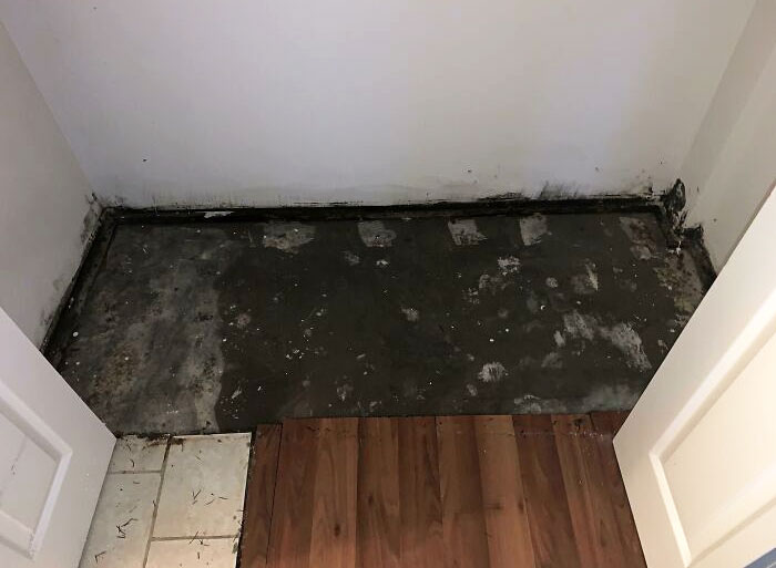 Black Mold In My Closet Due To A Washing Machine Pipe Leak That My Landlord Forgot To Fix