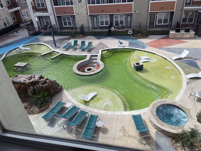 Just Moved Into This Apartment 3 Weeks Ago, And The Pool Looked Like The Hot Tub Then, What Should I Do About This? This Is Unacceptable