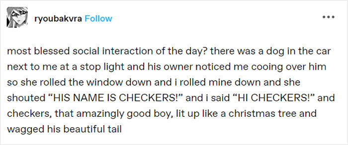 Text post about a wholesome social interaction with a dog named Checkers, highlighting kindness in wholesome memes.