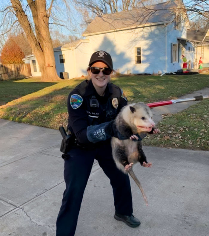 This Absolute Unit Of An Opossum