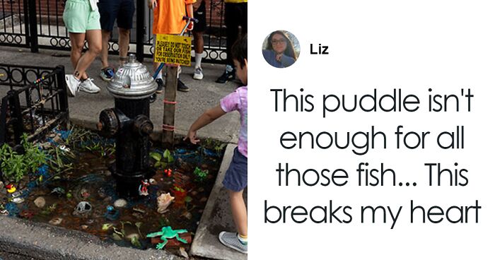 Aquarium With Real Fish Created Around Fire Hydrant “Puddle” Draws Criticism For Its Cruelty