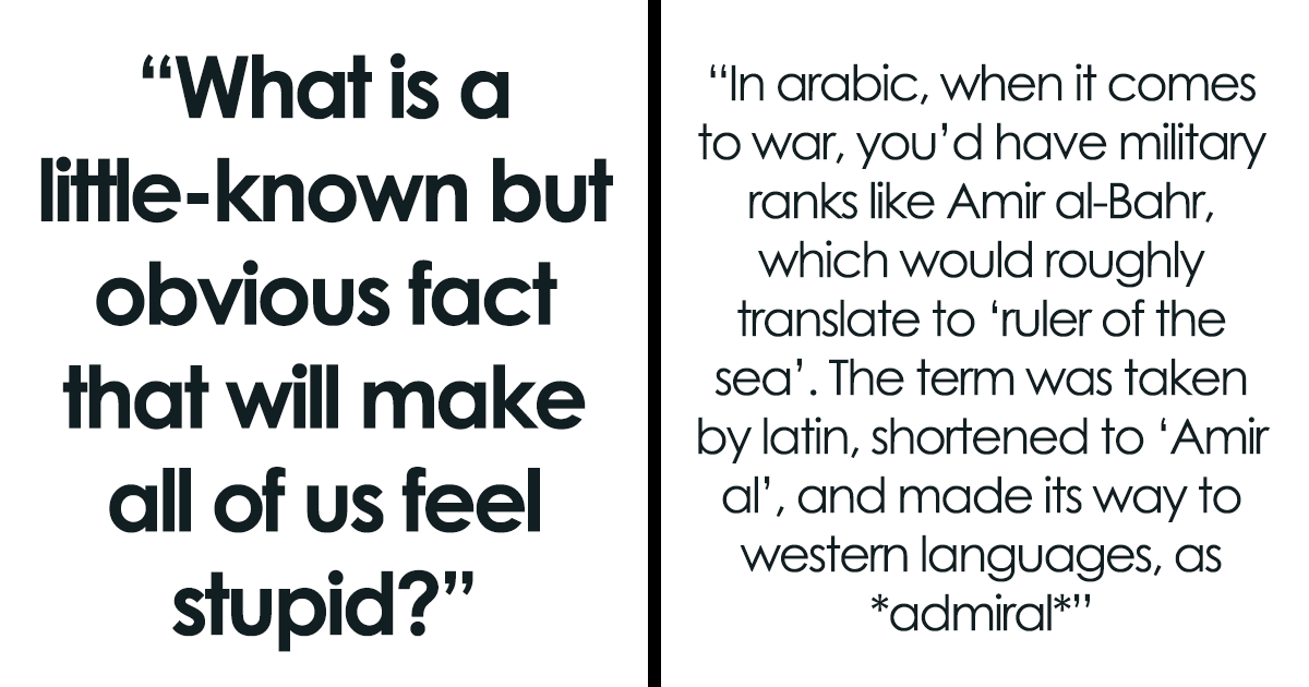 32 Random Facts That Seem Too Weird To Be True, Yet They Are, According ...