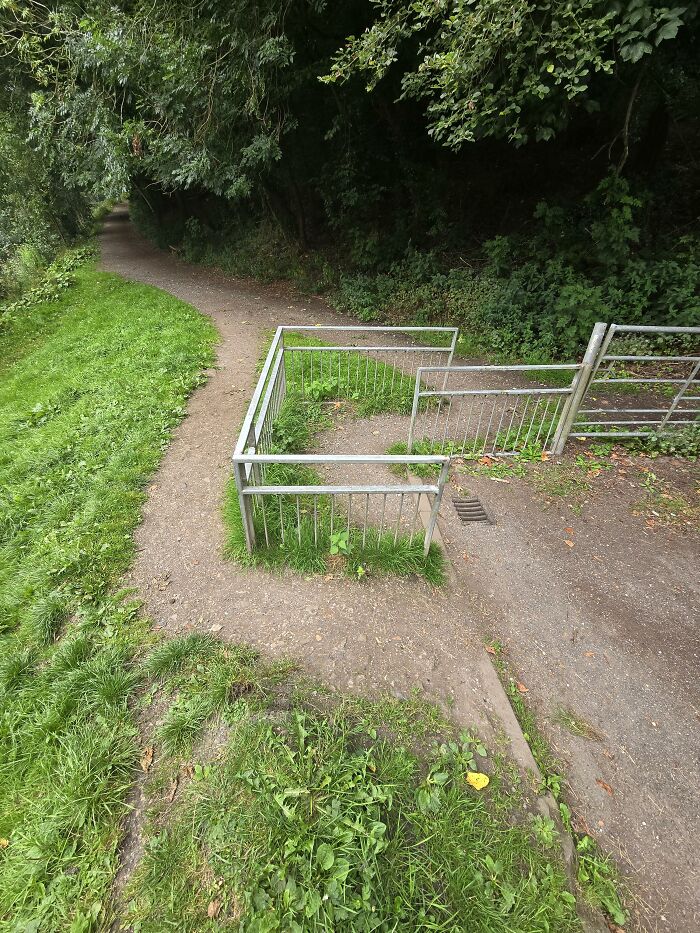 Encontré este paseando al perro