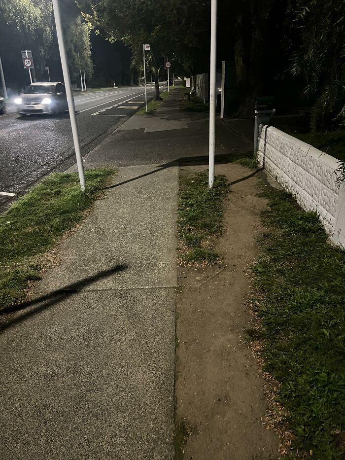 Why Is This A Desire Path?