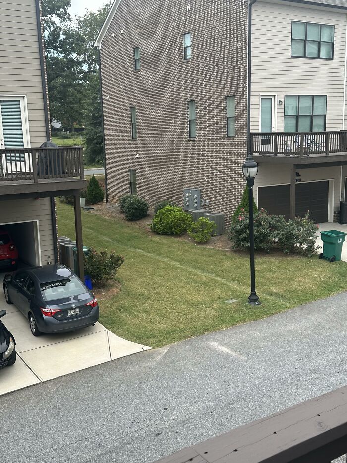 The Birth Of A Path - Atlanta