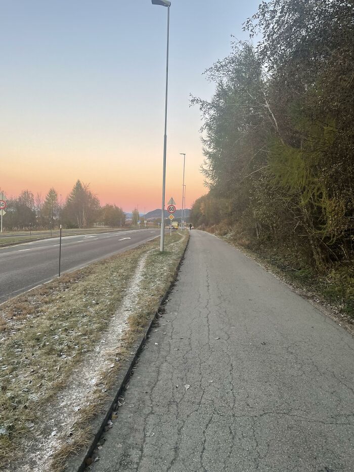 Curvy Desire Path By Straight Road