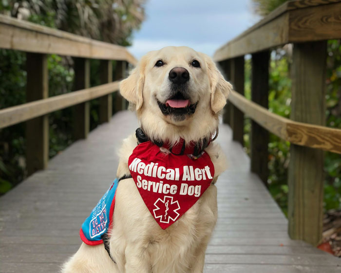 Woman Is Allergic To Dog, MIL Still Insists On Bringing Over Hers, So Woman Cancels Party