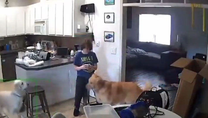 Girl Seen Texting Stepdad Seconds After Taking Mother's Life For Discovering Her &ldquo;Secret&rdquo;