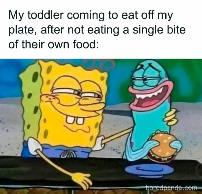 Motherhood-Memes-Jokes