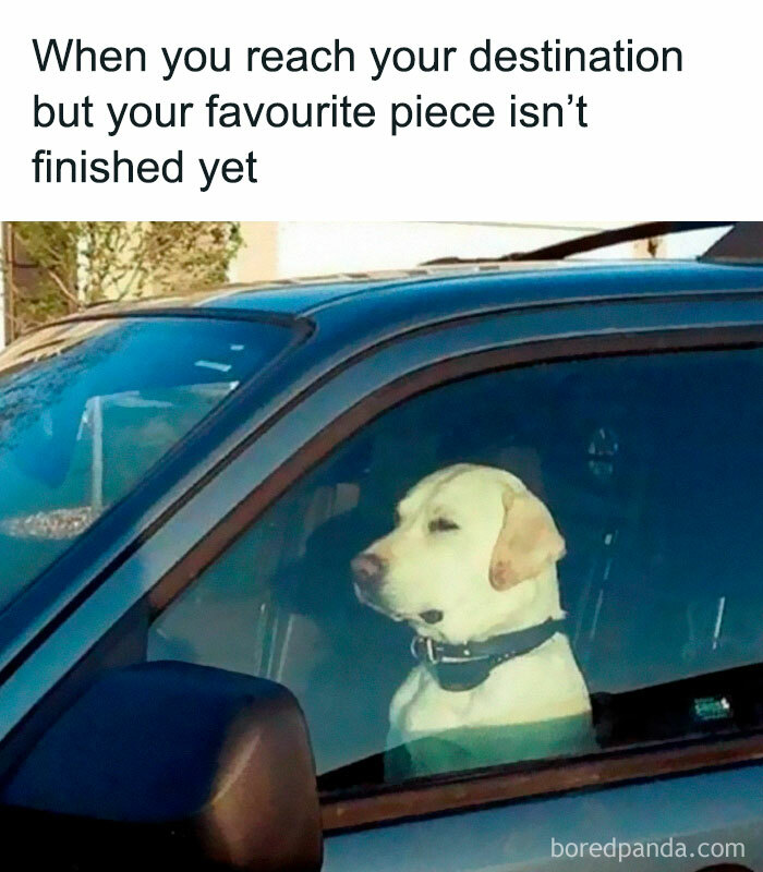 Dog in car looking out window, relating to music memes about unfinished songs.