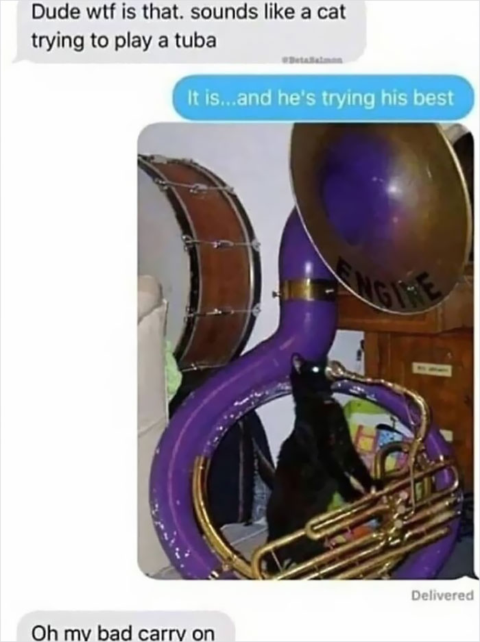 A cat humorously attempting to play a tuba, creating a hilarious music meme.